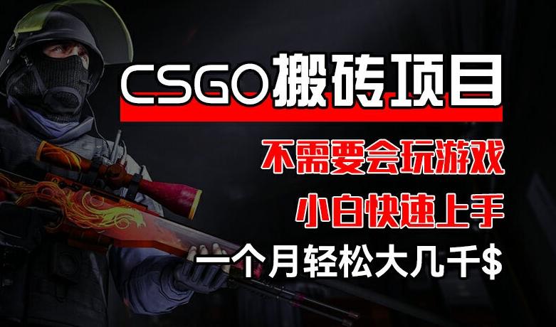 CSGO 装备搬砖项目，操作简单，不需要会玩游戏，小白也能快速上手，一个月轻松大几千【揭秘】-云创网
