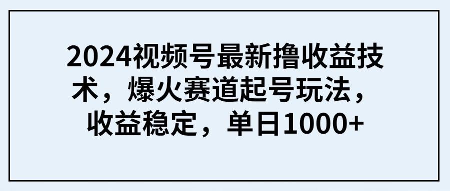 (9651期) 2024视频号最新撸收益技术，爆火赛道起号玩法，收益稳定，单日1000+-云创网