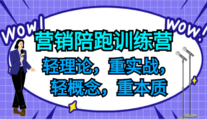 营销陪跑训练营，轻理论，重实战，轻概念，重本质，适合中小企业和初创企业的老板-云创网