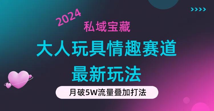 私域宝藏：大人玩具情趣赛道合规新玩法，零投入，私域超高流量成单率高-云创网