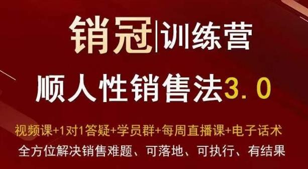爆款！销冠训练营3.0之顺人性销售法，全方位解决销售难题、可落地、可执行、有结果-云创网