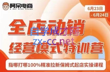 阿呆电商·全店动销经营模式特训营(线下录音+思维导图)-云创网