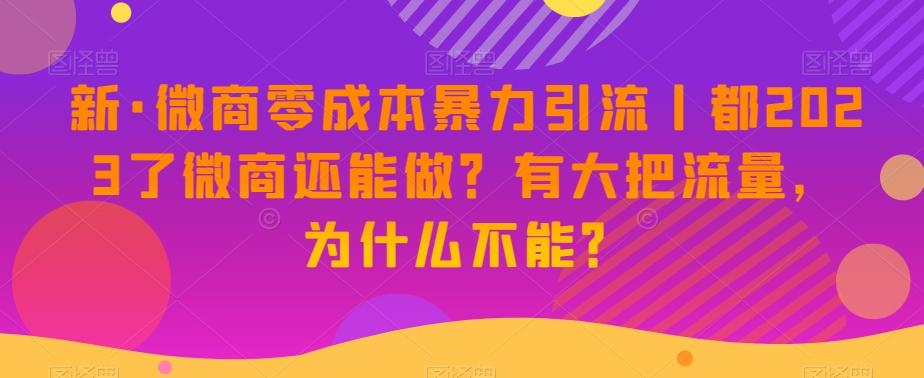 新·微商零成本暴力引流丨都2023了微商还能做？有大把流量，为什么不能？-云创网