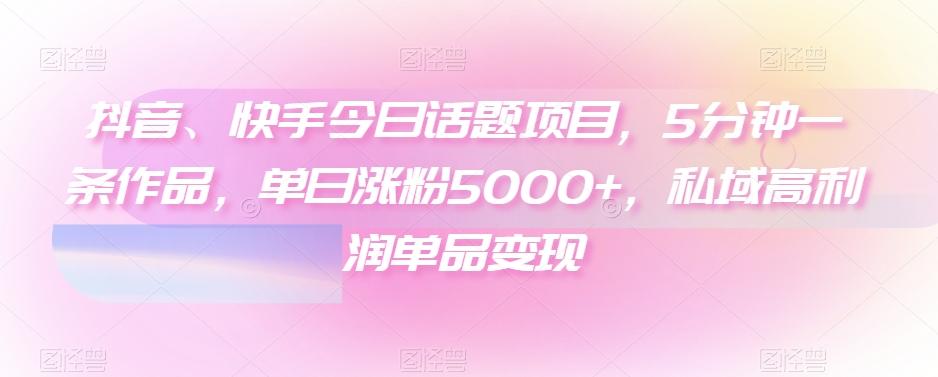 抖音、快手今日话题项目，5分钟一条作品，单日涨粉5000+，私域高利润单品变现-云创网