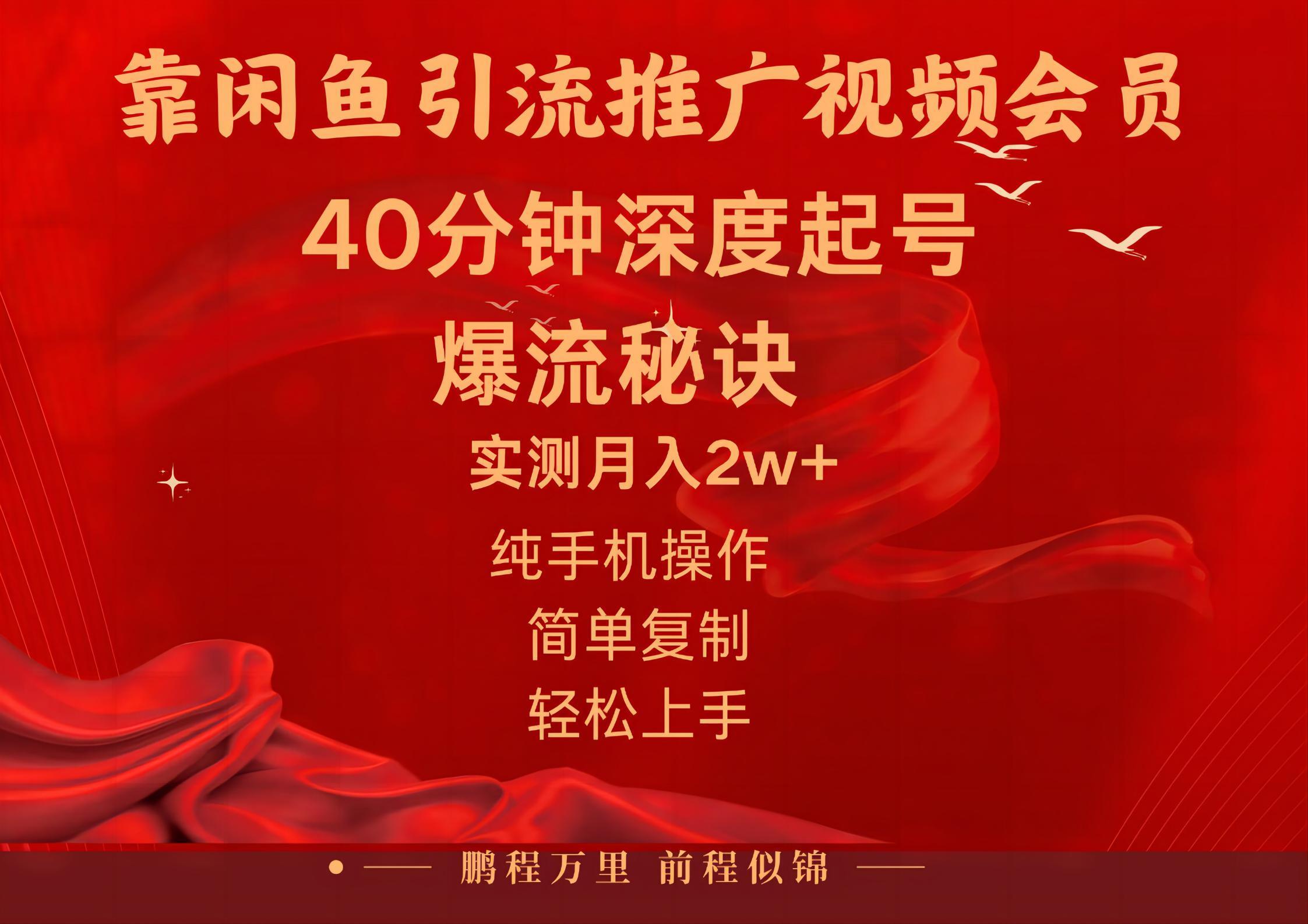 闲鱼暴力引流推广视频会员，能做到日入2W+，操作简单-云创网