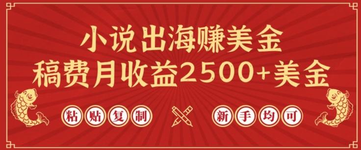 小说出海赚美金，稿费月收益2500+美金，仅需chatgpt粘贴复制，新手也能玩转【揭秘】-云创网