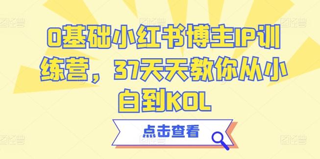 0基础小红书博主IP训练营，37天天教你从小白到KOL-云创网