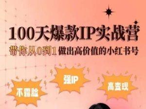小红书100天爆款IP实战营，带你从0到1做出高价值的小红书号-云创网