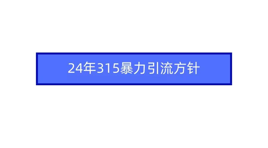 (9398期)2024年315暴力引流方针-云创网