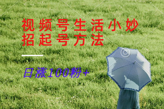 视频号生活小妙招分享赛道， 起号涨粉新方法，日涨100粉-云创网