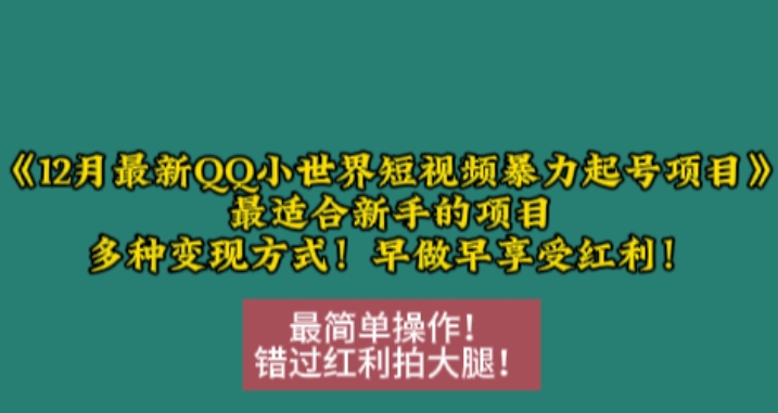 12月最新QQ小世界短视频暴力起号项目，最适合新手的项目，多种变现方式-云创网
