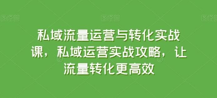 私域流量运营与转化实战课，私域运营实战攻略，让流量转化更高效-云创网