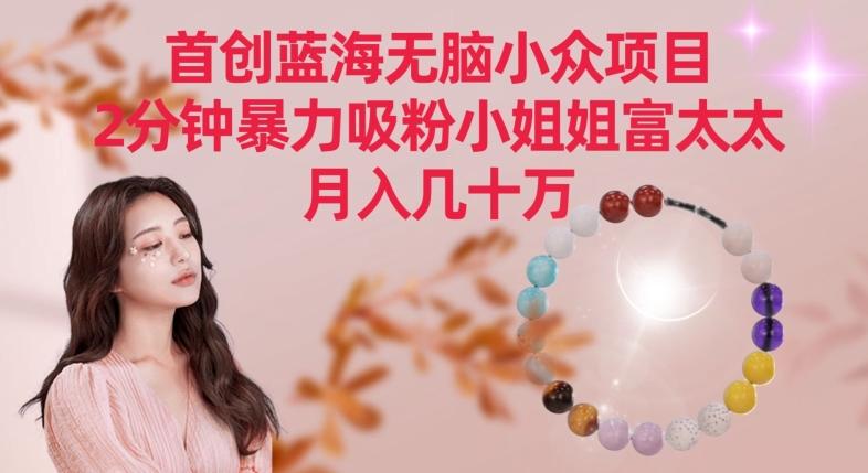 首创蓝海无脑小众项目，2分钟暴力吸粉小姐姐富太太，月入几十万【揭秘】-云创网