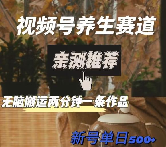 视频号养生赛道暴力掘金，无脑搬运，两分钟一条作品-新日单入500+-云创网